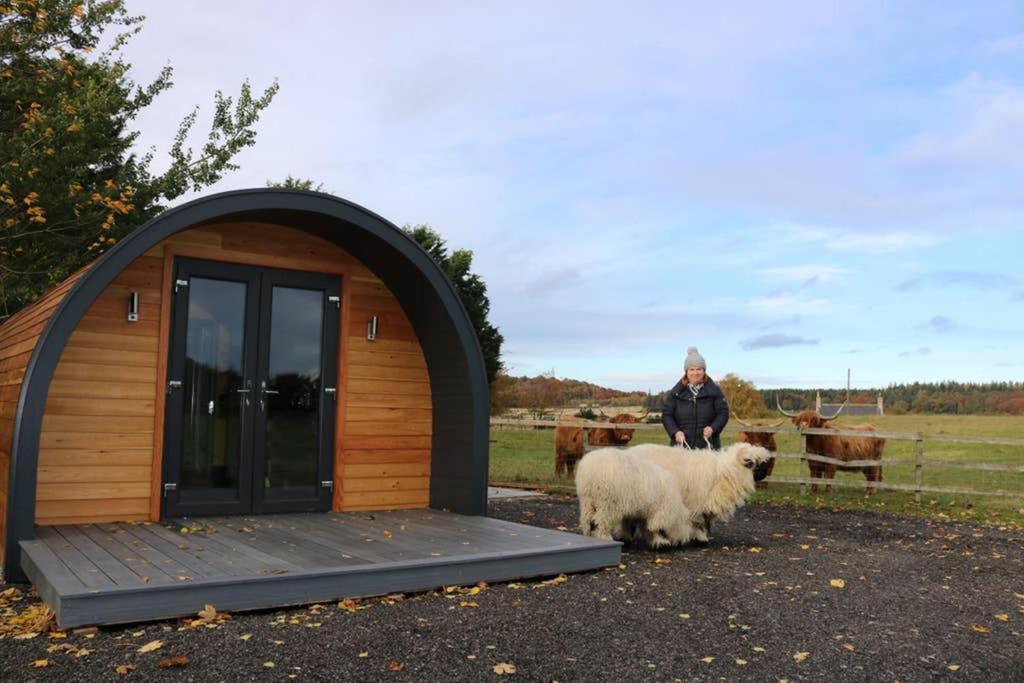 Вилла Glampods Glamping Pod - Meet Highland Cows And Sheep Элгин Экстерьер фото