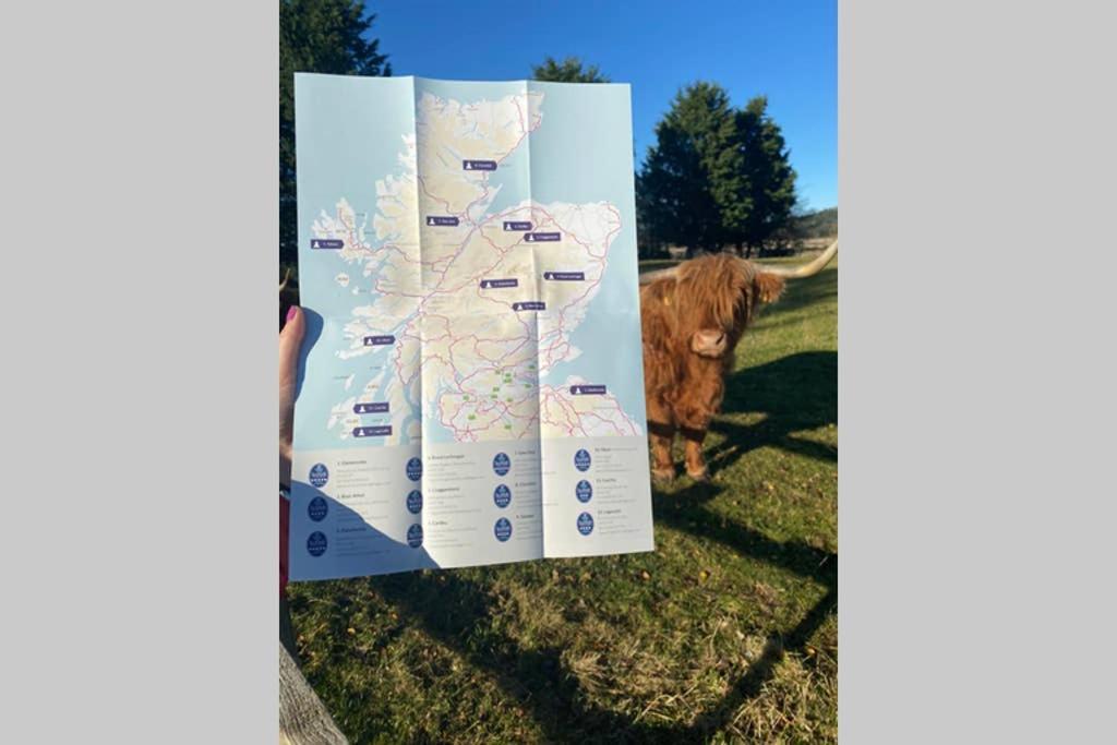 Вилла Glampods Glamping Pod - Meet Highland Cows And Sheep Элгин Экстерьер фото