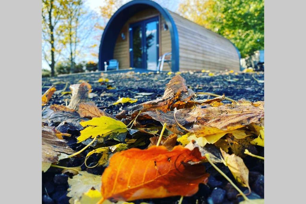 Вилла Glampods Glamping Pod - Meet Highland Cows And Sheep Элгин Экстерьер фото